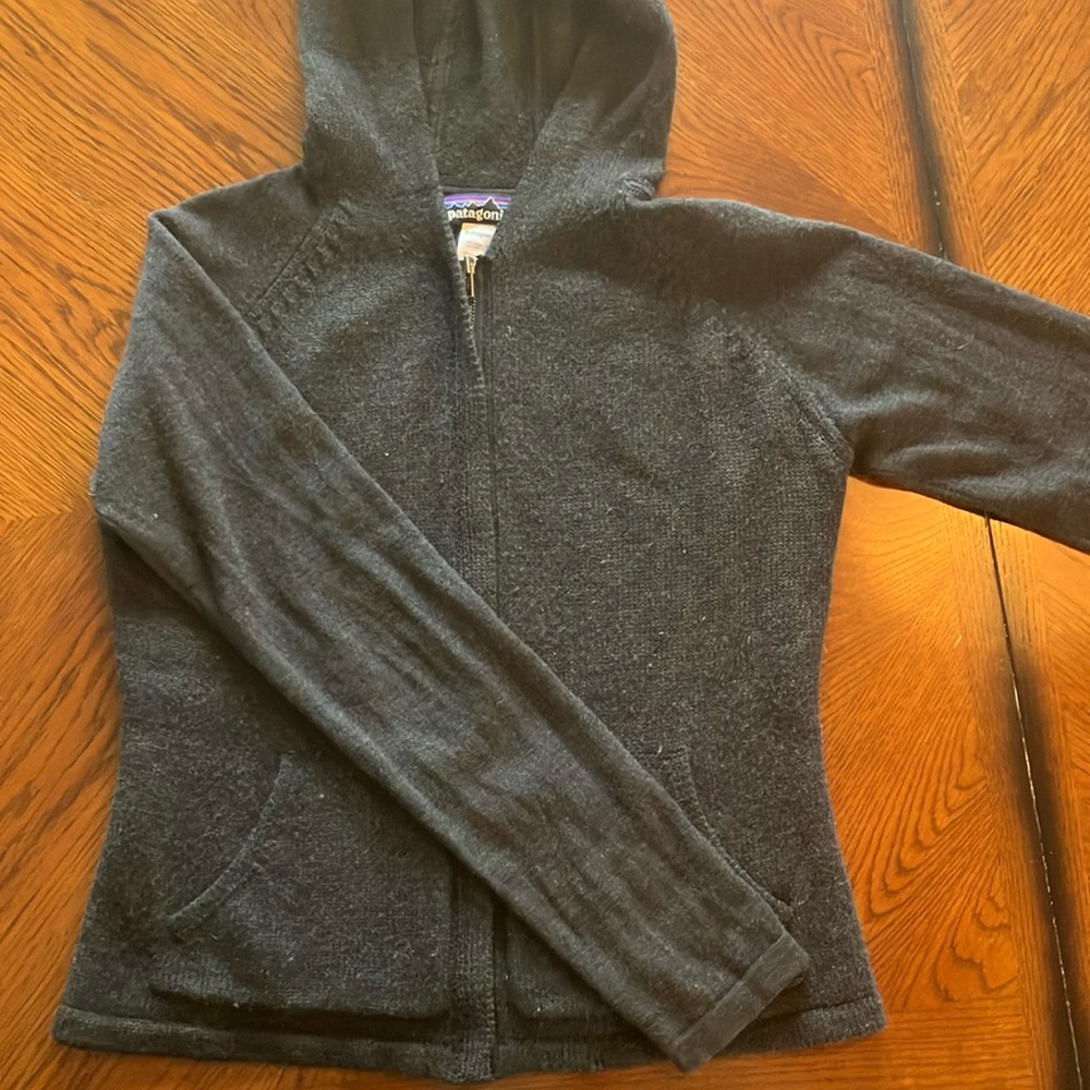 Patagonia merino wool hoodie